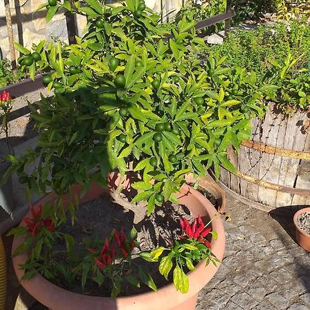 Appartamento House Ida Scafati Exterior foto